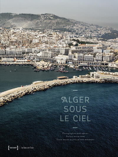 Algiers from the Air